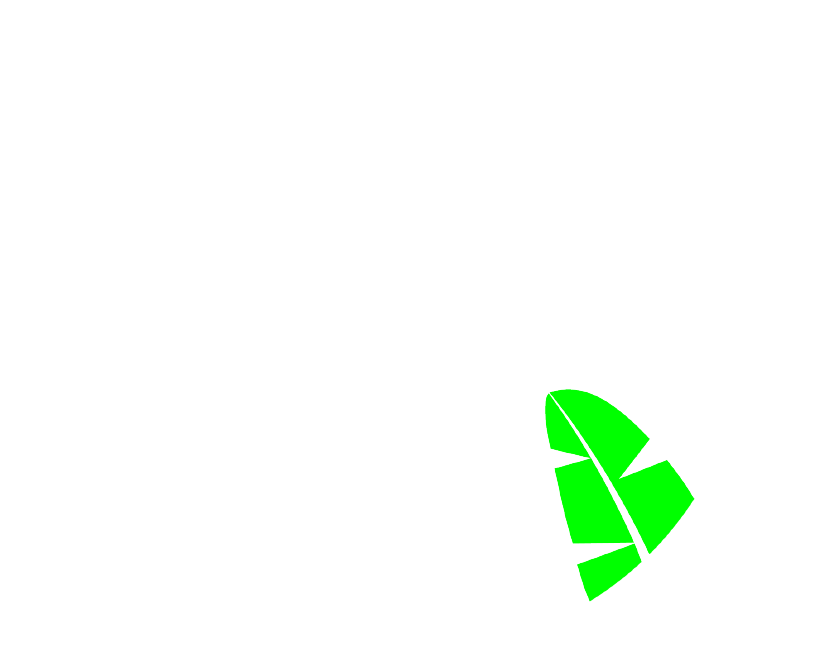 Huerto Rico